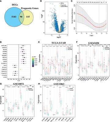 A prognostic signature model for unveiling tumor progression in lung adenocarcinoma